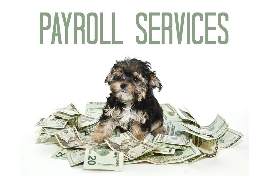 Payroll Services for the Pet Industry