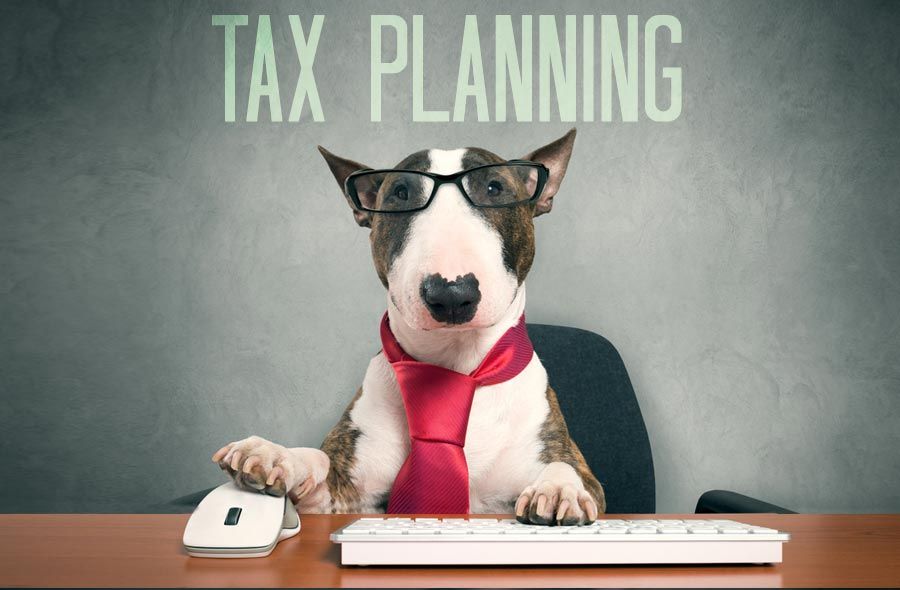 Tax Planning Services for the Pet Industry