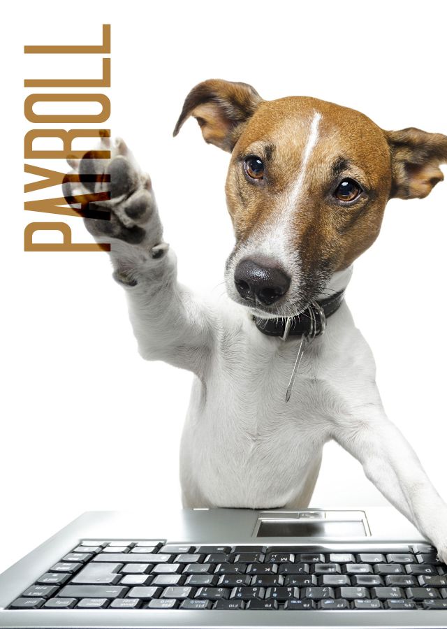 Payroll Services Offered by We Do Pet Stores